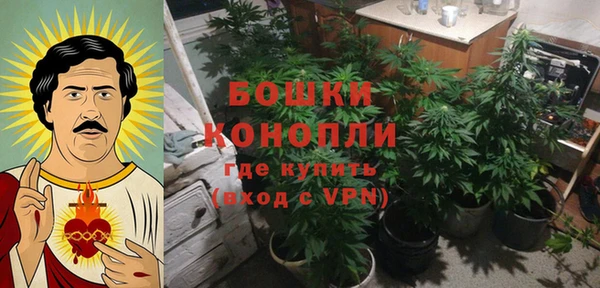 дурь Заводоуковск
