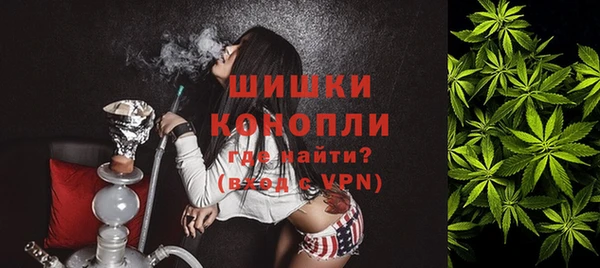 дурь Заводоуковск