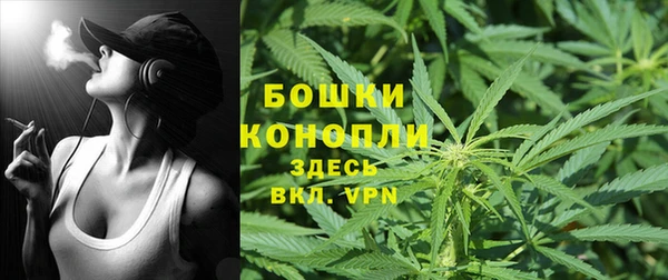 дурь Заводоуковск