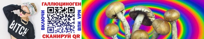 Купить где  Медвежьегорск  Галлюциногенные грибы MAGIC MUSHROOMS 