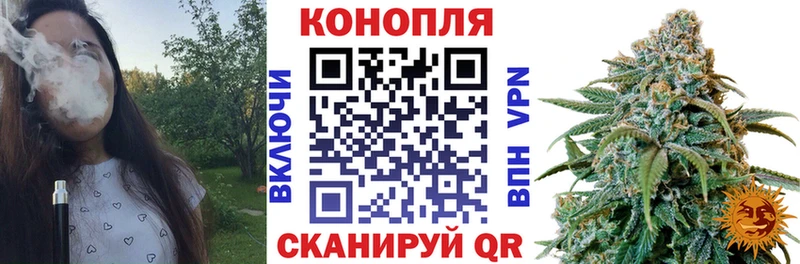 Купить закладки  Медвежьегорск  Бошки марихуана OG Kush 